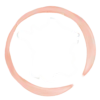 icone-france-v2
